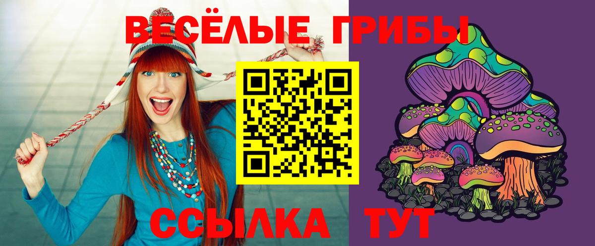 Псилоцибиновые грибы GOLDEN TEACHER  Вход с VPN  Челябинск  Галлюциногенные грибы Psilocybe 