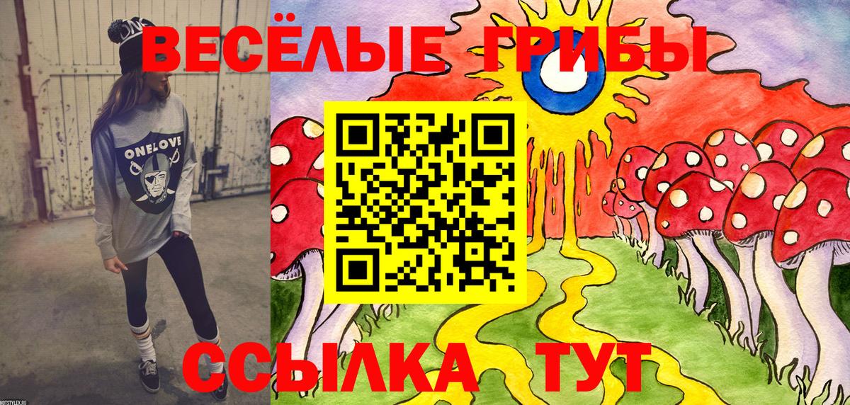 Псилоцибиновые грибы ЛСД Челябинск